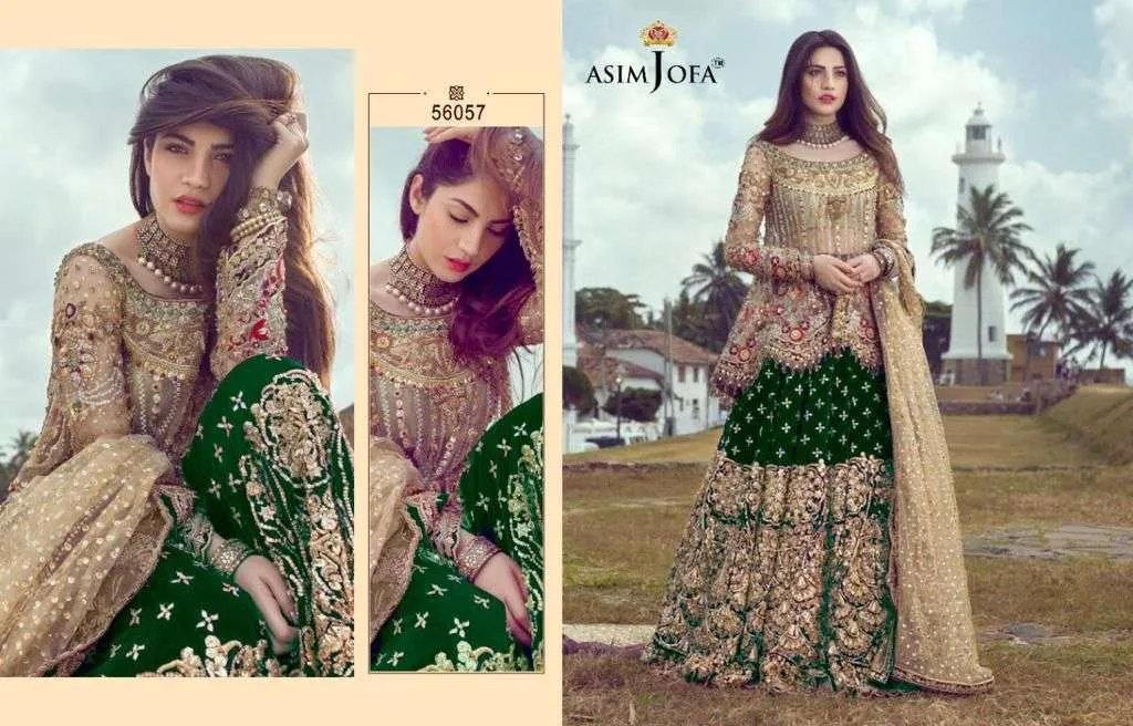 ASIM JOFA D NO 56057 A B C D BUTTERFLY NET WITH HEAVY EMBROIDERY SUIT
