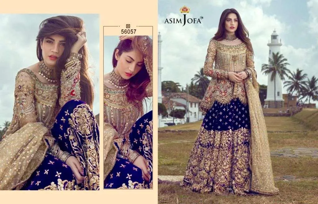 ASIM JOFA D NO 56057 A B C D BUTTERFLY NET WITH HEAVY EMBROIDERY SUIT